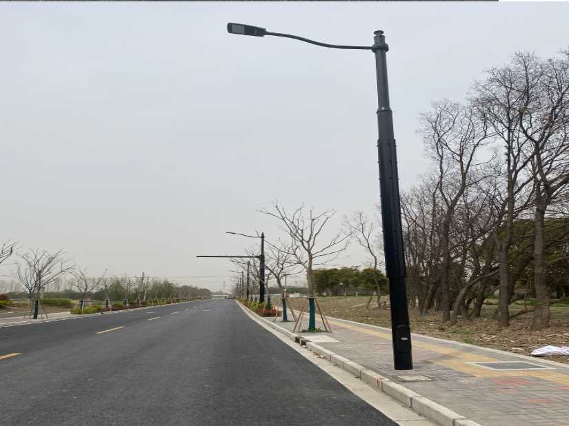 定南县上海综合杆 太阳能路灯工程